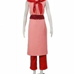Auscosplay Dragon Ball Chichi Cheongsam Cosplay Costume Anime Costume