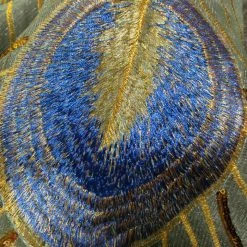 Auscosplay 2019 New Aladdin Jasmine Cosplay Costume 14 Auscosplay 2019 New Aladdin Jasmine Cosplay Costume